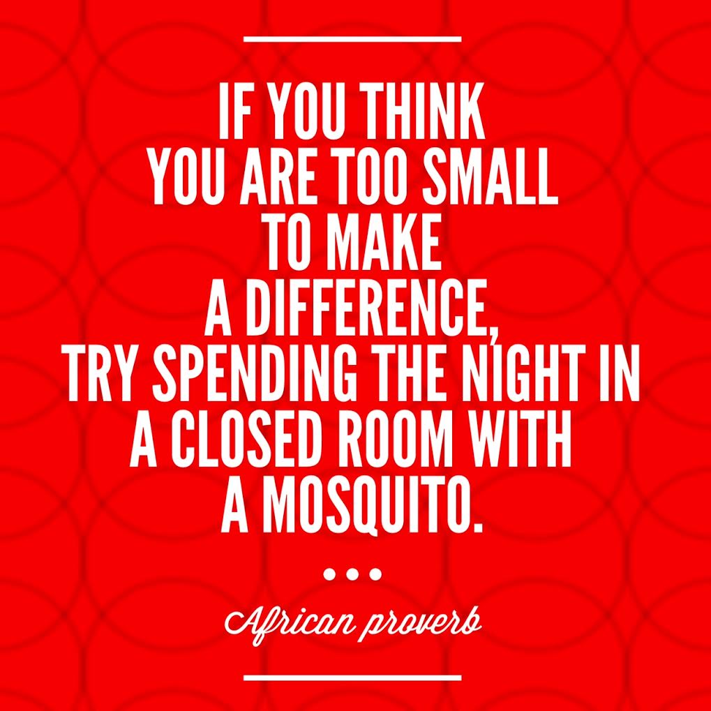 mosquito quote