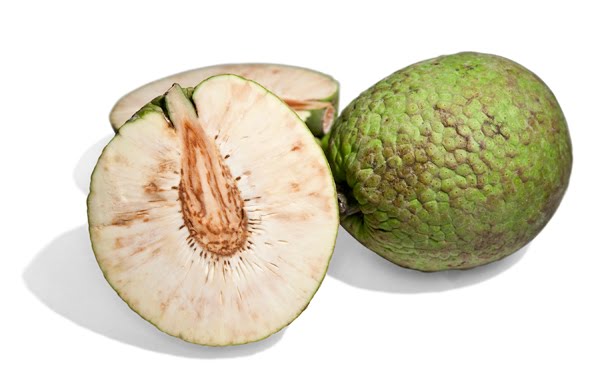 Breadfruit friedas.com - Copy